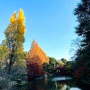 ヒメ日記 2025/11/20 21:26 投稿 早乙女りえ ローテンブルク