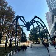 ヒメ日記 2025/11/21 12:04 投稿 早乙女りえ ローテンブルク