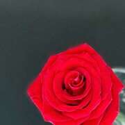 ヒメ日記 2025/12/01 23:59 投稿 早乙女りえ ローテンブルク