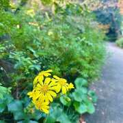 ヒメ日記 2025/12/23 17:42 投稿 早乙女りえ ローテンブルク