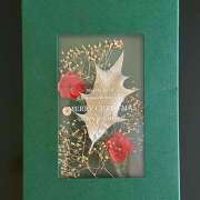 ヒメ日記 2025/12/25 08:54 投稿 早乙女りえ ローテンブルク