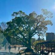 ヒメ日記 2025/12/28 16:47 投稿 早乙女りえ ローテンブルク