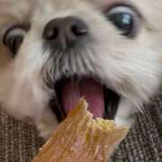 ヒメ日記 2026/01/19 14:28 投稿 早乙女りえ ローテンブルク