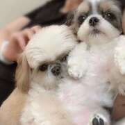 ヒメ日記 2026/01/19 22:56 投稿 早乙女りえ ローテンブルク