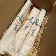 ヒメ日記 2026/01/20 18:02 投稿 早乙女りえ ローテンブルク