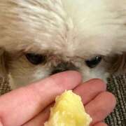 ヒメ日記 2026/02/14 18:00 投稿 早乙女りえ ローテンブルク