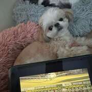 ヒメ日記 2026/02/17 22:31 投稿 早乙女りえ ローテンブルク