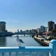 ヒメ日記 2026/03/09 17:01 投稿 早乙女りえ ローテンブルク