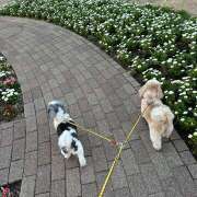 ヒメ日記 2026/03/13 10:44 投稿 早乙女りえ ローテンブルク