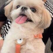 ヒメ日記 2026/03/16 20:56 投稿 早乙女りえ ローテンブルク