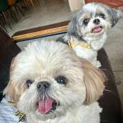 ヒメ日記 2026/03/18 17:28 投稿 早乙女りえ ローテンブルク