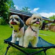 ヒメ日記 2026/03/19 17:24 投稿 早乙女りえ ローテンブルク