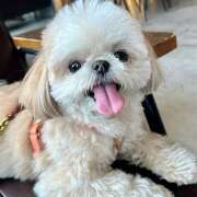 ヒメ日記 2026/03/25 21:36 投稿 早乙女りえ ローテンブルク