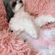 ヒメ日記 2026/03/26 09:09 投稿 早乙女りえ ローテンブルク