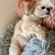 ヒメ日記 2026/03/31 13:35 投稿 早乙女りえ ローテンブルク