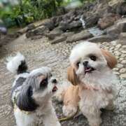 ヒメ日記 2026/04/13 08:35 投稿 早乙女りえ ローテンブルク