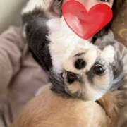 ヒメ日記 2026/04/17 08:59 投稿 早乙女りえ ローテンブルク