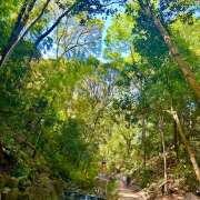 ヒメ日記 2026/04/22 07:35 投稿 早乙女りえ ローテンブルク