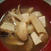 ヒメ日記 2024/12/11 11:34 投稿 胡蝶蘭 ローテンブルク