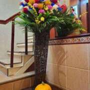 ヒメ日記 2025/02/05 21:03 投稿 胡蝶蘭 ローテンブルク