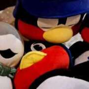 ヒメ日記 2025/02/07 12:23 投稿 胡蝶蘭 ローテンブルク