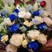 ヒメ日記 2025/02/09 23:17 投稿 胡蝶蘭 ローテンブルク