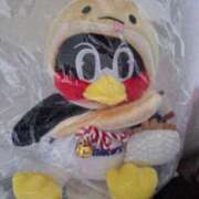 ヒメ日記 2025/02/20 12:19 投稿 胡蝶蘭 ローテンブルク