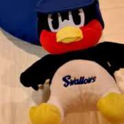 ヒメ日記 2025/02/20 13:44 投稿 胡蝶蘭 ローテンブルク