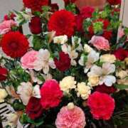 ヒメ日記 2025/02/23 15:12 投稿 胡蝶蘭 ローテンブルク