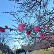 ヒメ日記 2025/02/24 09:57 投稿 胡蝶蘭 ローテンブルク