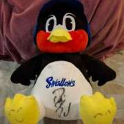 ヒメ日記 2025/03/26 21:38 投稿 胡蝶蘭 ローテンブルク