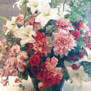 ヒメ日記 2025/03/27 08:13 投稿 胡蝶蘭 ローテンブルク