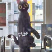 ヒメ日記 2025/04/28 12:31 投稿 胡蝶蘭 ローテンブルク