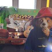 ヒメ日記 2025/05/15 15:23 投稿 胡蝶蘭 ローテンブルク