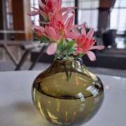 ヒメ日記 2025/05/16 20:22 投稿 胡蝶蘭 ローテンブルク