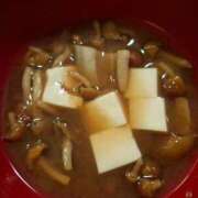 ヒメ日記 2025/05/29 09:35 投稿 胡蝶蘭 ローテンブルク