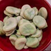 ヒメ日記 2025/06/01 10:48 投稿 胡蝶蘭 ローテンブルク