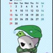 ヒメ日記 2025/06/01 16:58 投稿 胡蝶蘭 ローテンブルク