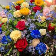 ヒメ日記 2025/06/08 12:12 投稿 胡蝶蘭 ローテンブルク