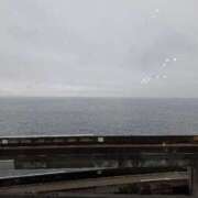 ヒメ日記 2025/06/11 14:59 投稿 胡蝶蘭 ローテンブルク