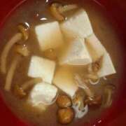 ヒメ日記 2025/06/12 10:03 投稿 胡蝶蘭 ローテンブルク