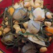 ヒメ日記 2025/06/20 08:43 投稿 胡蝶蘭 ローテンブルク