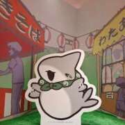 ヒメ日記 2025/06/22 17:33 投稿 胡蝶蘭 ローテンブルク