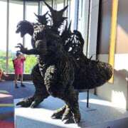 ヒメ日記 2025/07/17 10:50 投稿 胡蝶蘭 ローテンブルク