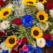 ヒメ日記 2025/07/24 17:55 投稿 胡蝶蘭 ローテンブルク