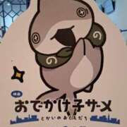ヒメ日記 2025/08/22 20:23 投稿 胡蝶蘭 ローテンブルク