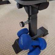 ヒメ日記 2025/08/27 20:54 投稿 胡蝶蘭 ローテンブルク