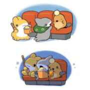 ヒメ日記 2025/08/29 10:57 投稿 胡蝶蘭 ローテンブルク