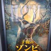 ヒメ日記 2025/08/31 11:19 投稿 胡蝶蘭 ローテンブルク