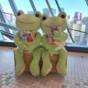 ヒメ日記 2025/09/15 10:32 投稿 胡蝶蘭 ローテンブルク